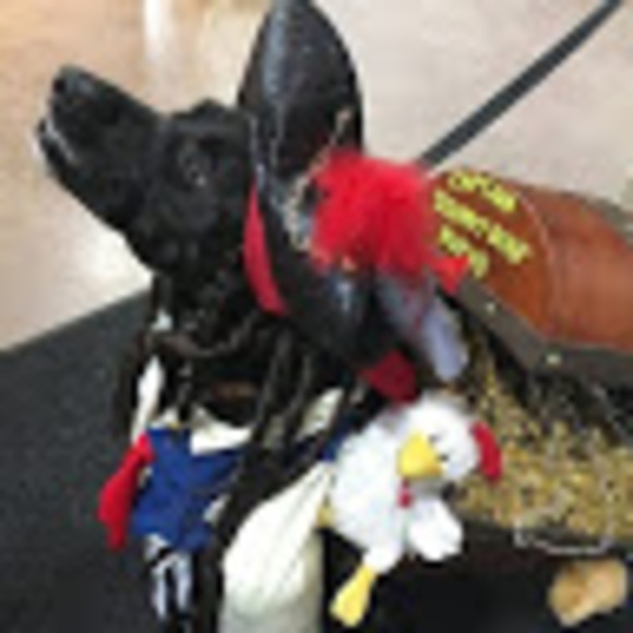 Meet your Posher, Theresa - Picture 1 of 1